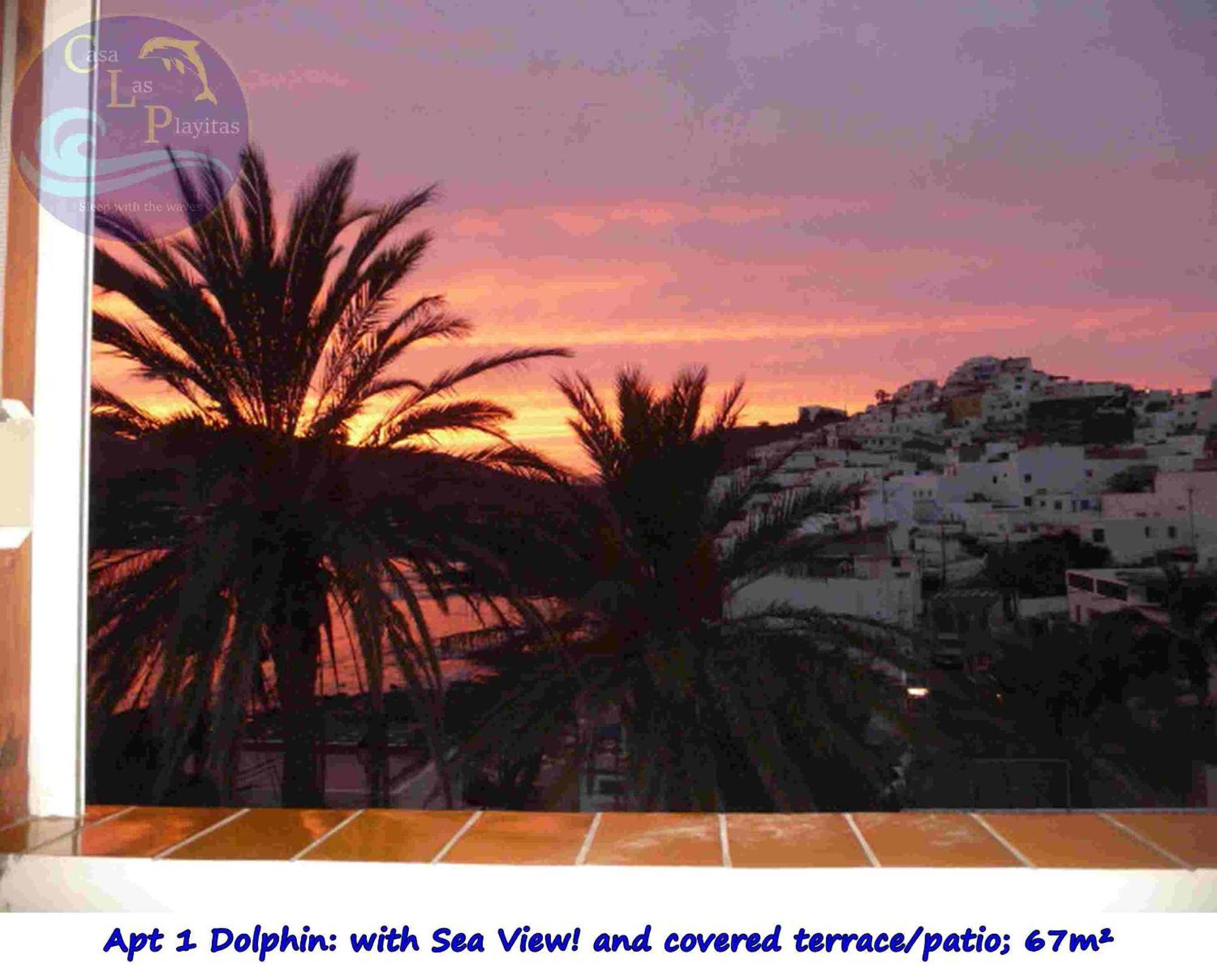 Casa Las Playitas -Clp- Best Sea View - In 1 Minute Ocean Las Playas Exterior foto